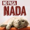 Avatar de hisense2017