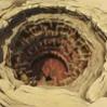 Avatar de gran sarlacc