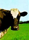 Avatar de Floydiano