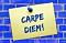 carpediem22